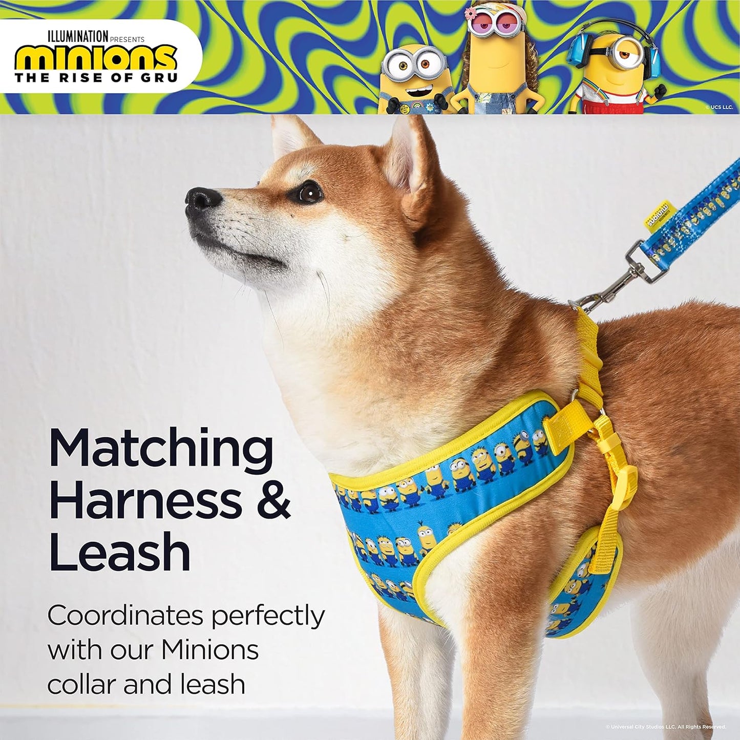 Dog Harness, Medium, Blue  in a Row | Comfortable Mesh No-Pull Dog Harness| Gifts for  Fans and Their Pets | Officially Licensed Pet Product from Universal Studios