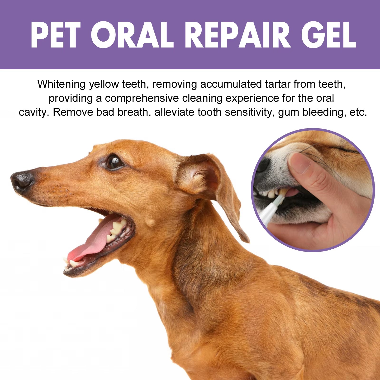 Freshpaws™ Pet Oral Repair Gel – the Ultimate Smile Saver for Cats & Dogs
